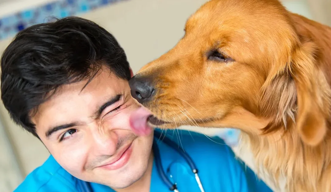 20 Things You Can Learn From Your Pets