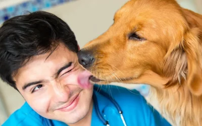 20 Things You Can Learn From Your Pets